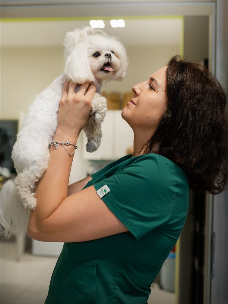 539076353 18375106447180597 5178257231608004275 n Lek. wet. Sara Rybarczyk