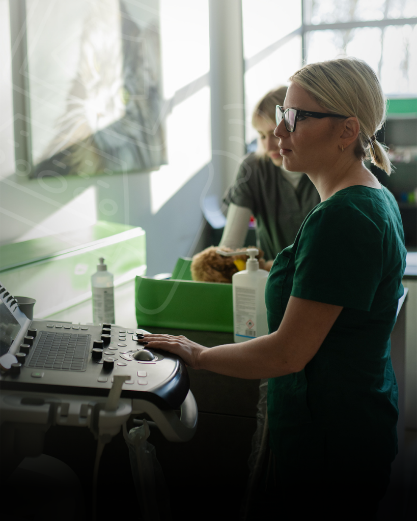 profilaktyka profilaktyka