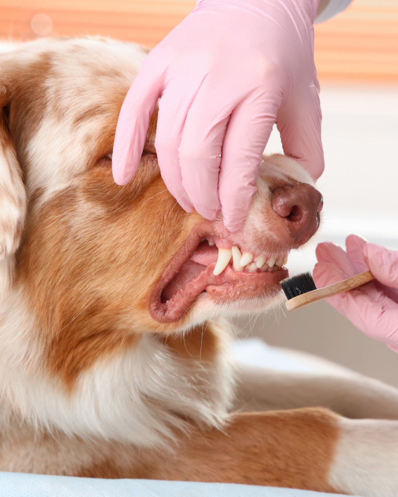 projekt bez nazwy 59 projekt bez nazwy 59