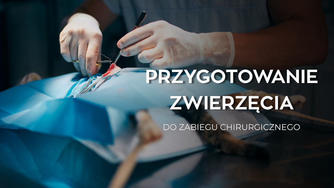harmonogram szczepieŃ szczeniĘcia 5